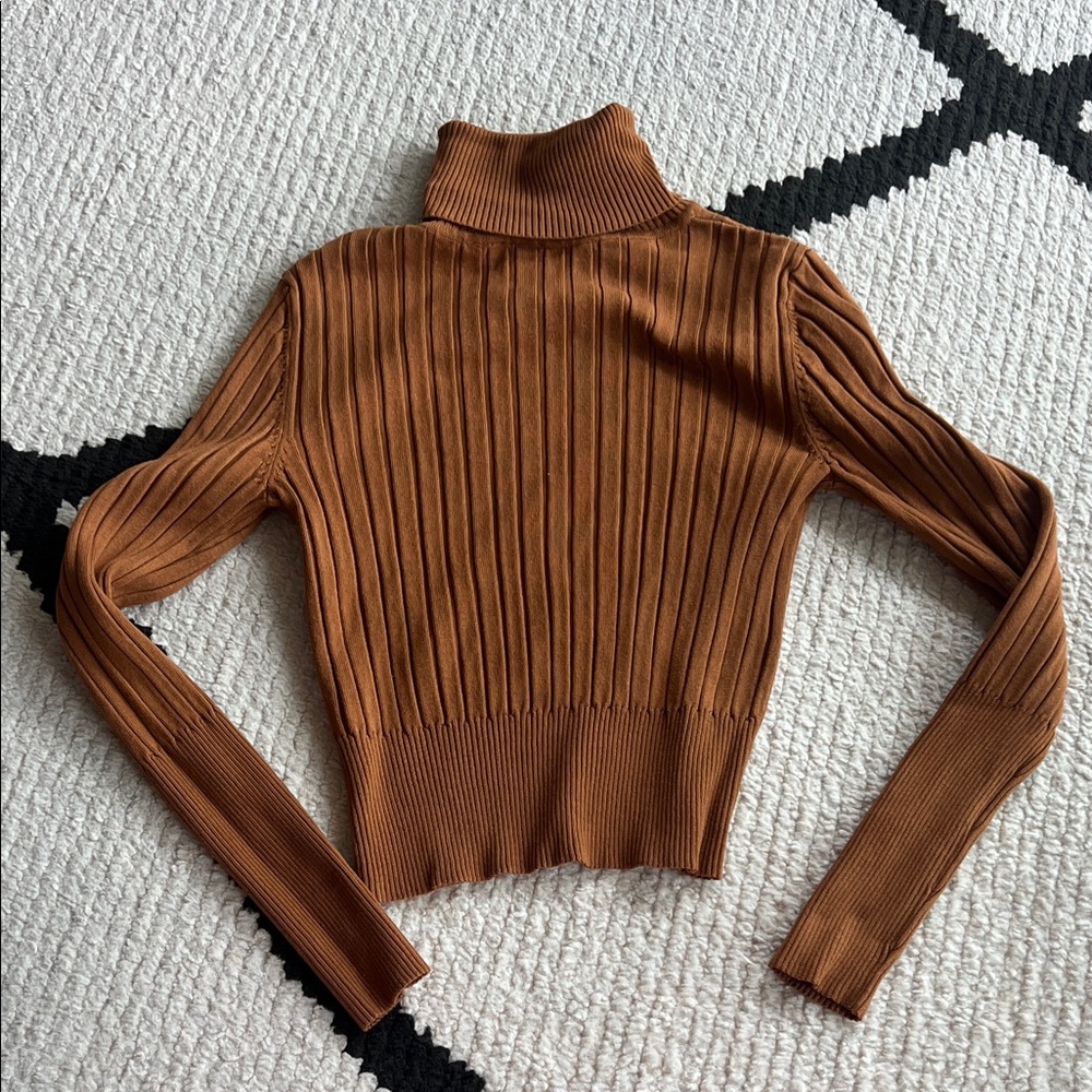 Zara Turtleneck
